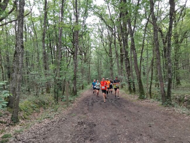 Les brèves N° 11 Photo Trail